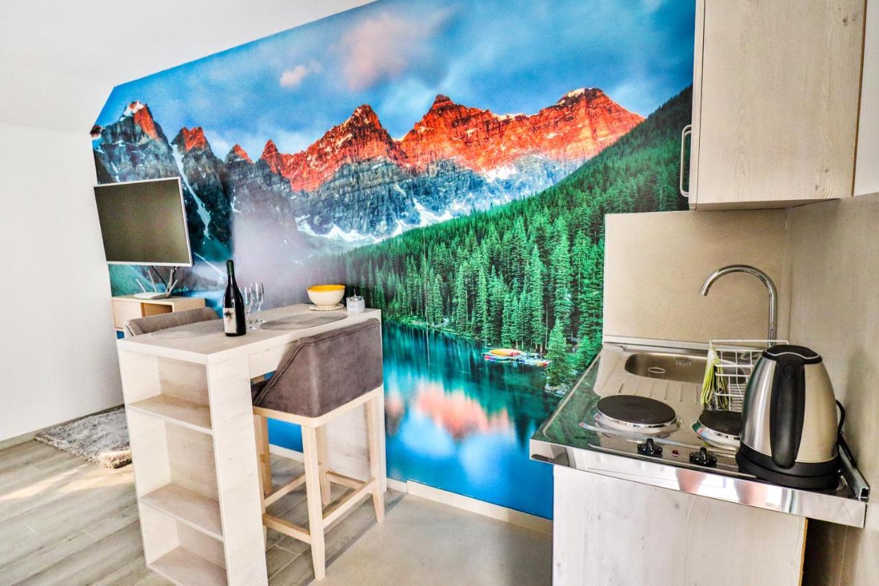 Simo Airport Apartment Podgorica